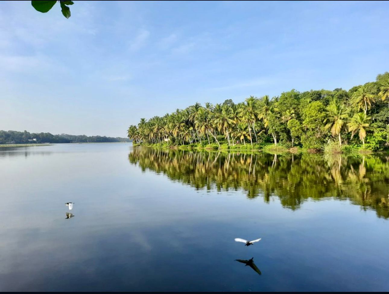 Vellayani Lake